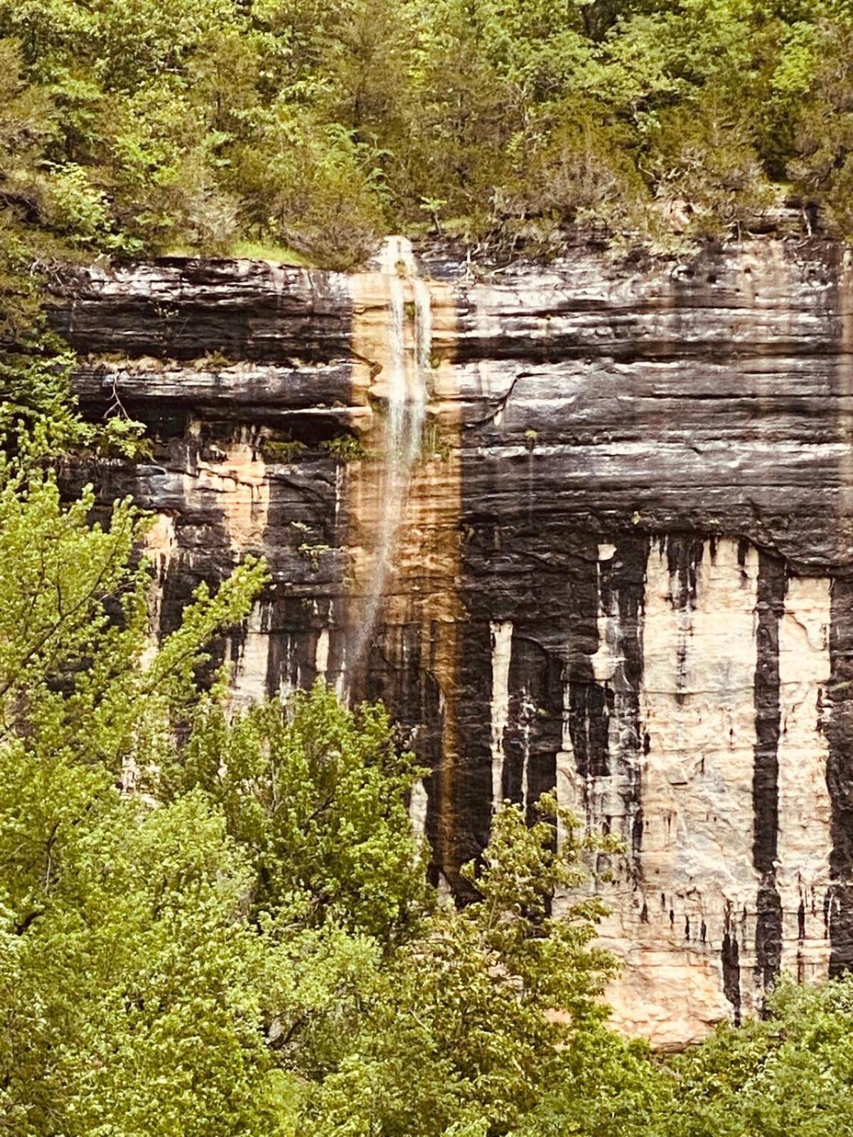 Butterfly Ridge Cabin - At The Top Of The Canyon Jasper 外观 照片